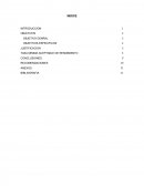 Tasa mínima aceptable de rendimiento.