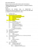 PROYECTO DE INVESTIGACIÓN E INNOVACIÓN TECNOLÓGICA