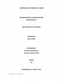 IDEA PROPUESTA DE GRADO.