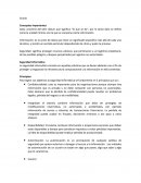 Seguridad cibernetica.