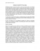 Ensayo Buffetologia.