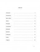 Ensayo sobre Obesidad.