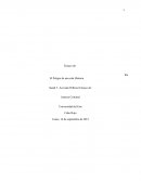 ENSAYO DE EL PELIGRO DE UNA SOLA HISTORIA EDITADO CORREGIDO