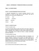 UNIDAD I.- CORPOREIDAD Y FORMACIÓN INTEGRAL DEL EDUCANDO TEMA 1.- EL CUERPO PROPIO