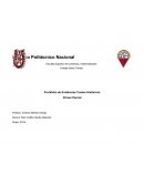 Reglas Para Cursar La Materia De Cosos Históricos