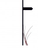 Protocolo de investigacion.