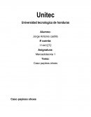 Caso payless shoes marketing klottler