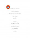 El impacto social en la materia de sociología.