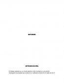 Informe. El trabajo realizado es un circuito eléctrico mixto montado en una porción rectangular