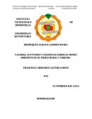 VALORES, ACTITUDES Y CREENCIAS SOBRE EL MEDIO AMBIENTE EN EL MEDIO RURAL Y URBANO