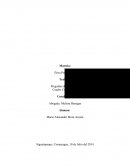 Que se entiende por persona, y cual su relación con la moral?