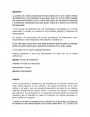 La cosecha de nuestras zanahorias se hace durante todo el año, nuestro método de recolección es muy específico ya que estas tienen un ciclo de cultivo variable,