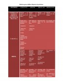 Rubrica para calificar Reporte de prácticas