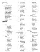 Dos de las culturas más antiguas fueron los Folsam y Clovis, en el actual E.U.