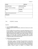 Identifica qué tipo de conflicto se presenta y determina las razones por las cuales se desata.