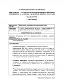 Cuestionario NIA 315