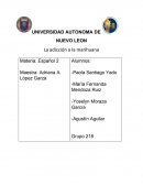 La adicción a la marihuana