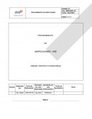 Procedimiento de Inspecciones