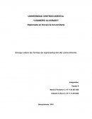 Ensayo sobre las formas de representacion