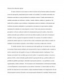 Efectos de las Ilusiones ópticas