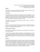 Determinación de calor específico.