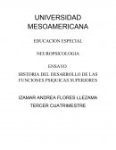HISTORIA DEL DESARROLLO DE LAS FUNCIONES PSIQUICAS SUPERIORES