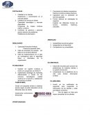 Experiencia y conocimiento en el mercado global.