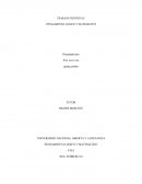 Pensamiento logico matematico.