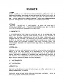 BOLSOS, BILLETERAS Y ARTESANIAS A BASE DE PANCARTAS RECICLABLES DE BALLAS PUBLICITARIAS DESECHADAS QUE YA NO SE UTILIZAN DESPUES DE TERMINAR SU PUBLICIDAD.