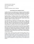CARACTERÍSTICAS DEL GUERRERO PACIFICO