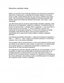 Bioquímica y adhesión celular