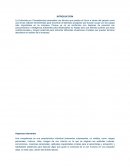 La Entrevista por Competencias