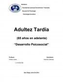 Desarrollo Psicosocial De La Adultez Tardía