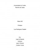 Empresa Electronux Inc. Descripción de la Empresa