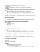 HEMORRAGIAS DE LA SEGUNDA MITAD DEL EMBARAZO.