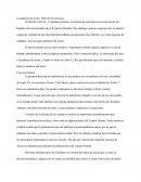 La palmera de aceite: árbol de los mil usos.