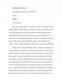 Agora, es una película situada en el año 391 D.C