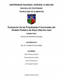 Evaluación de las Propiedades Funcionales del Aislado Proteico de Soya (Glycine max)
