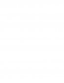 Controles Financieros de 5 Cias Hondureñas.