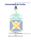 Página Web de la Universidad Del Caribe