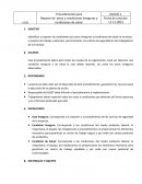 Formato reporte de CAI