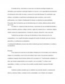 Crear espacios de inserción en actividades ofertadas por la Universidad a nivel cultural.