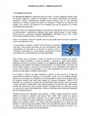 Tanto en los deportes como en el estudio, prever lo que puede ocurrir es casi tan importante como lo que realmente ocurre.