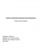 Trabajo Práctico Integrador de Didactica