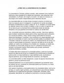 Cómo veo la Universidad en Colombia?