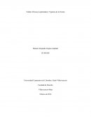 VALIDEZ, EFICACIA, LEGITIMIDAD Y VIGENCIA DE LA NORMA