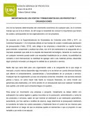 IMPORTANCIA DE LOS COSTOS Y PRESUPUESTOS EN LOS PROYECTOS Y ORGANIZACIONES