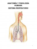 ANATOMÍA Y FISIOLOGÍA HUMANA SISTEMA RESPIRATORIO