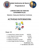 Integradora ciencias experimentales etapa 1