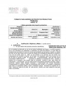 FORMATO PARA INGRESO DE PROYECTOS PRODUCTIVOS PROMUSAG